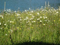 /album/decouvertes-en-balade/a3eme-tour-078-jpg/